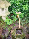 京都庭園なる庭もあります。